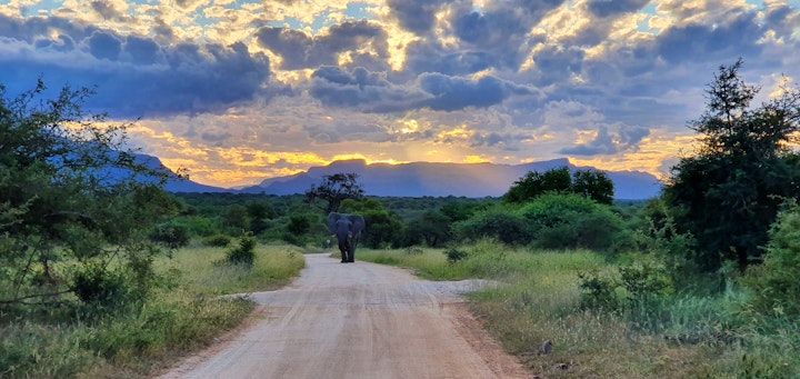 Kruger To Canyons Accommodation at Rhino's Rest Private Luxury Villa | Viya