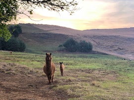 KwaZulu-Natal Accommodation at Lake Glencairn | Viya