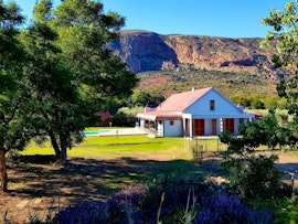 Eastern Cape Accommodation at  | Viya