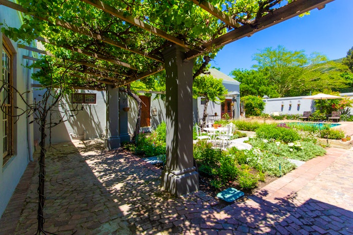 Western Cape Accommodation at Olive Tree | Viya