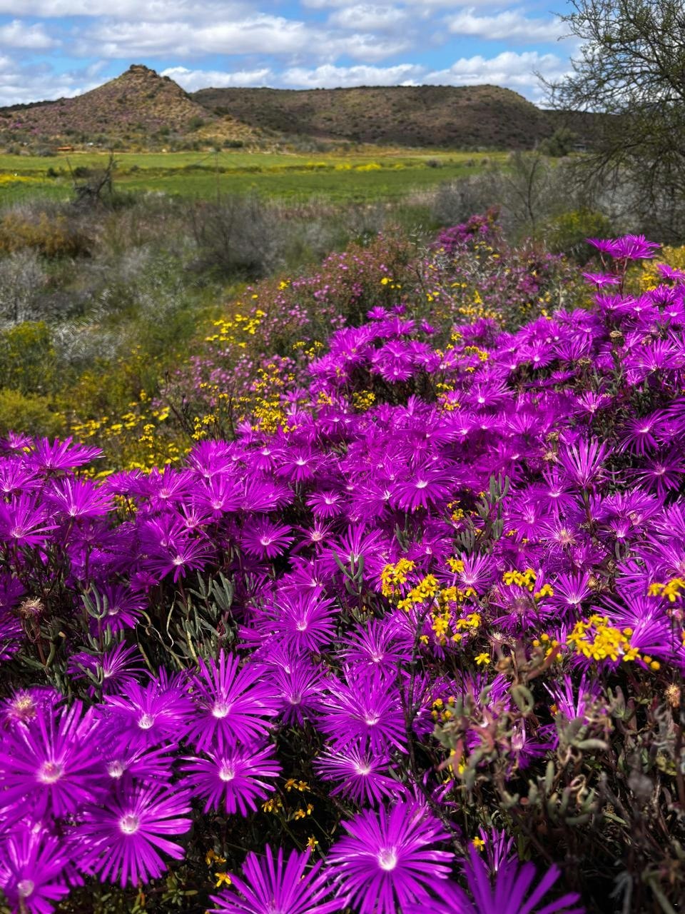 Gamtoosberg Cottage image no 36 of 41
