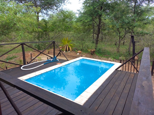 Kruger National Park South Accommodation at  | Viya