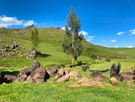 Drakensberg Accommodation at  | Viya