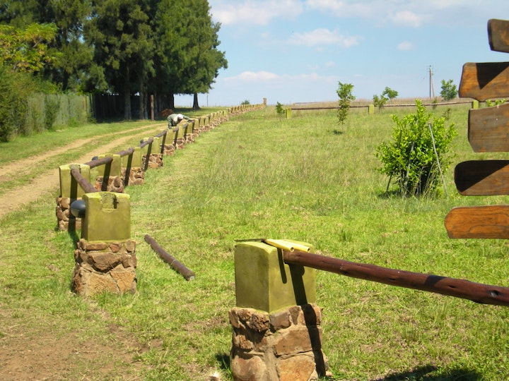 Cradle Of Humankind Accommodation at Blue Roan Country Lodge | Viya