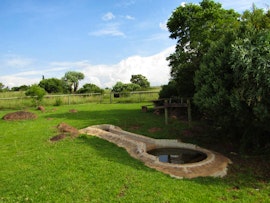 Cradle Of Humankind Accommodation at Stone Hill - Wild Pear Tree Cottage | Viya