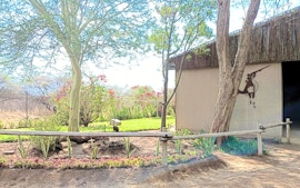 Limpopo Accommodation at Groote Schuur Lodge - Afstap Safaris | Viya