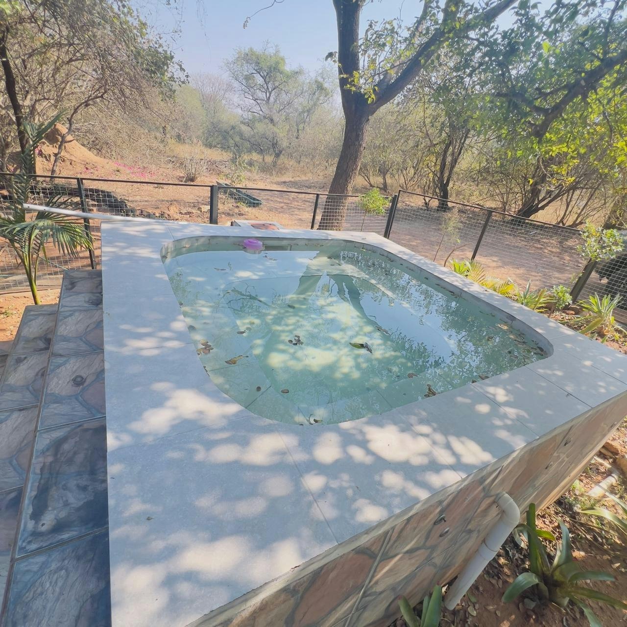 Mcable Bush Retreat image no 23 of 32