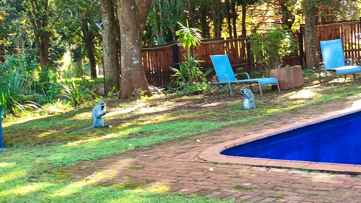 Mpumalanga Accommodation at Eagle Creek Resorts | Viya