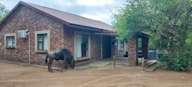 Kruger National Park South Accommodation at  | Viya