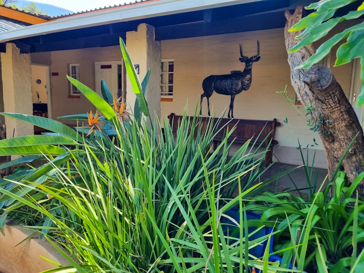North West Accommodation at Harties Is Africa Safari Lodge | Viya