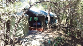 Kruger To Canyons Accommodation at  | Viya