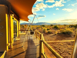 Waterberg Accommodation at Mount Olivet Luxury Tent | Viya