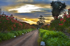 Boland Accommodation at Cape Dutch @ Keerweder | Viya