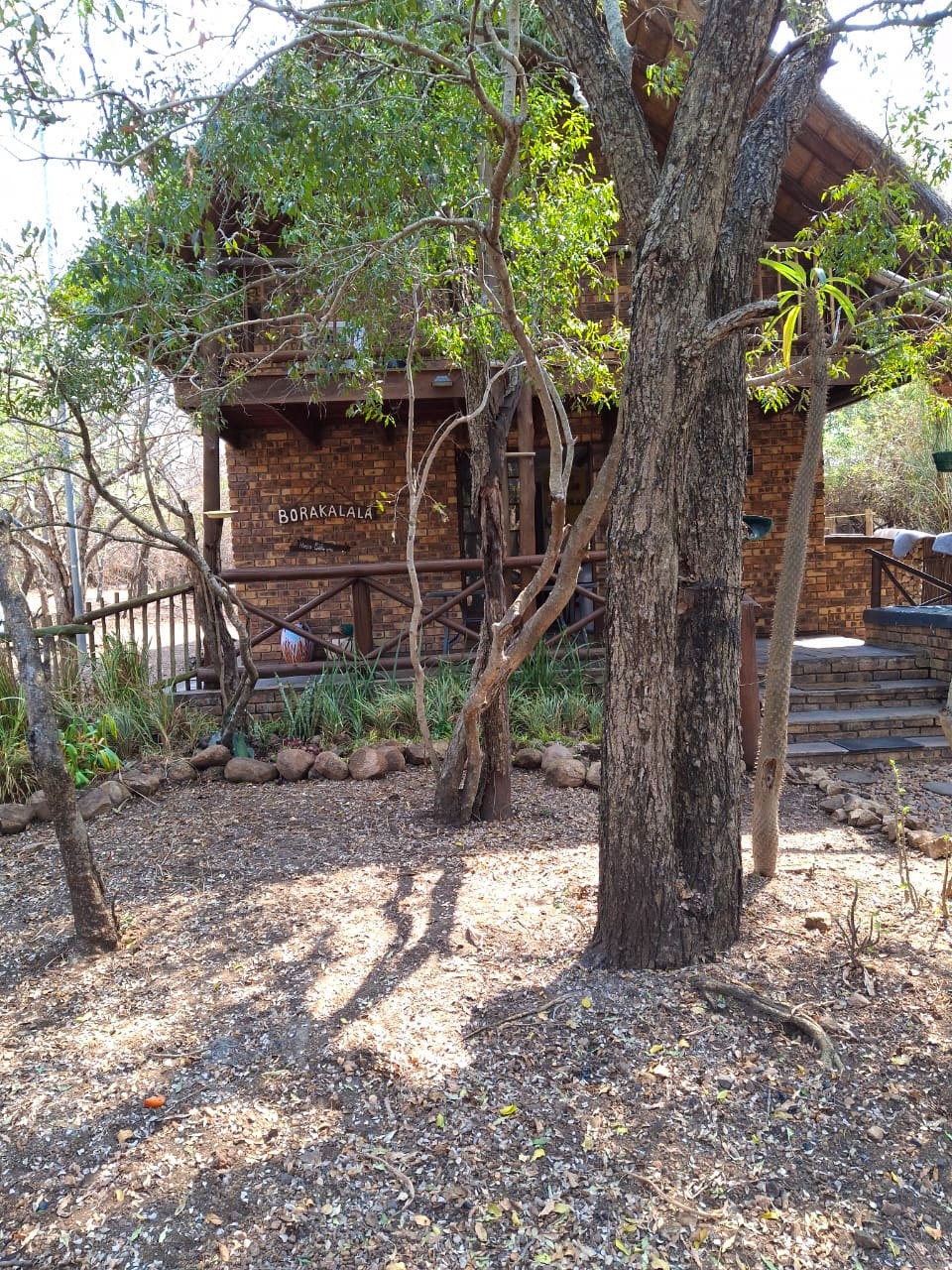 Kruger National Park South Accommodation at  | Viya