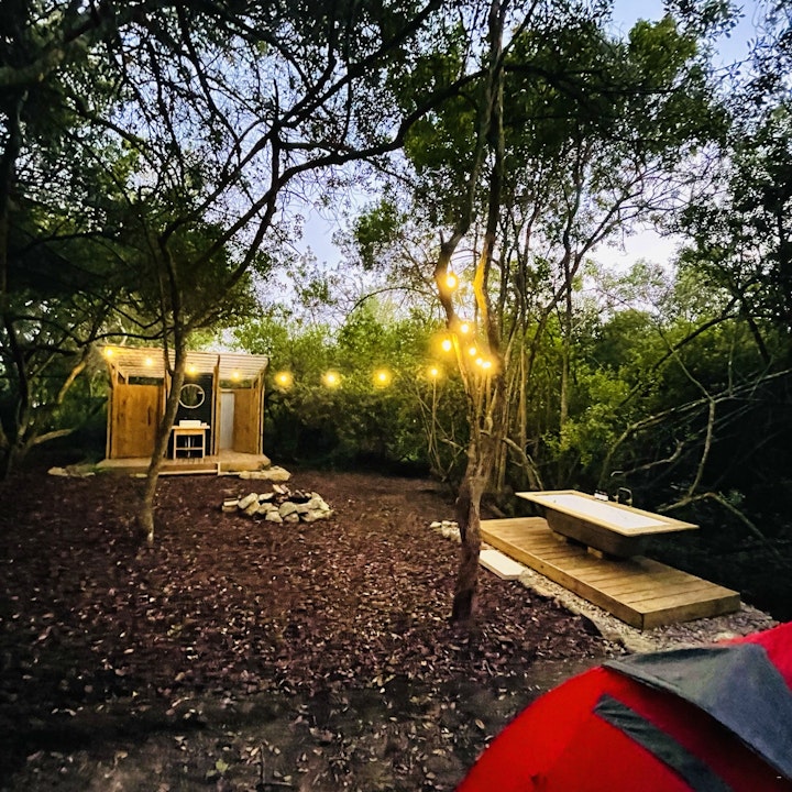 Garden Route Accommodation at TAO Forest Campsites | Viya