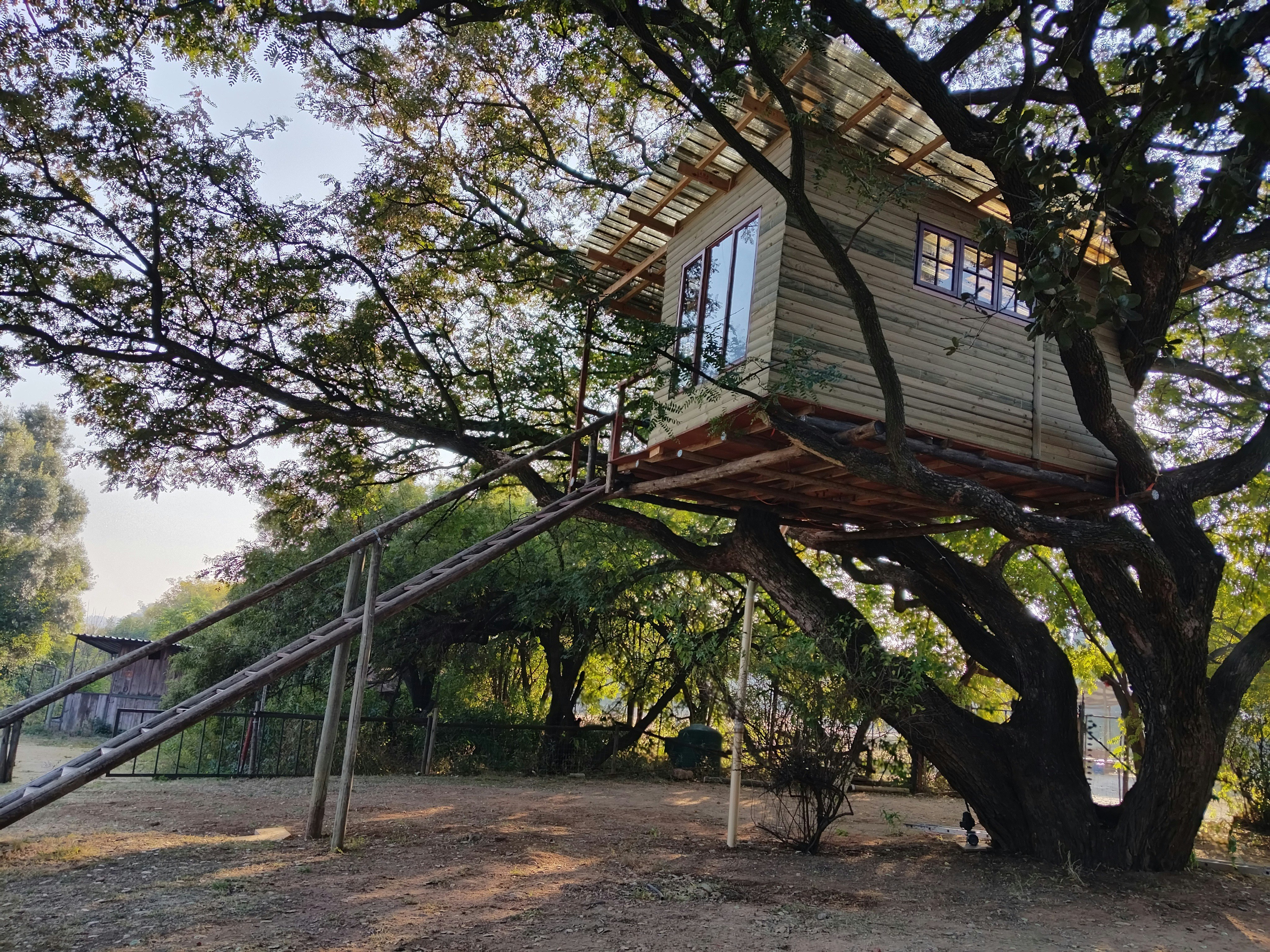 Tree House Living image no 1 of 14