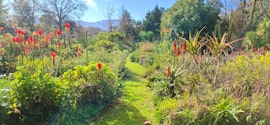 Overberg Accommodation at  | Viya