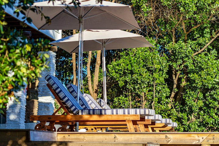 Garden Route Accommodation at River House | Viya