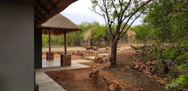 Kruger National Park South Accommodation at Pata Pata House | Viya