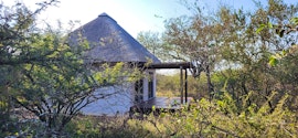 Kruger To Canyons Accommodation at  | Viya