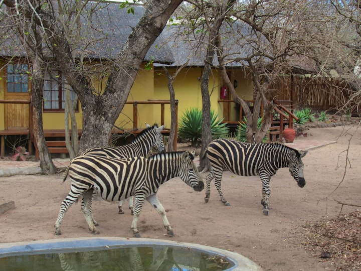 Limpopo Accommodation at Thornhill Safari Lodge | Viya