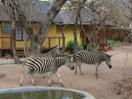 Hoedspruit Accommodation at Thornhill Safari Lodge | Viya