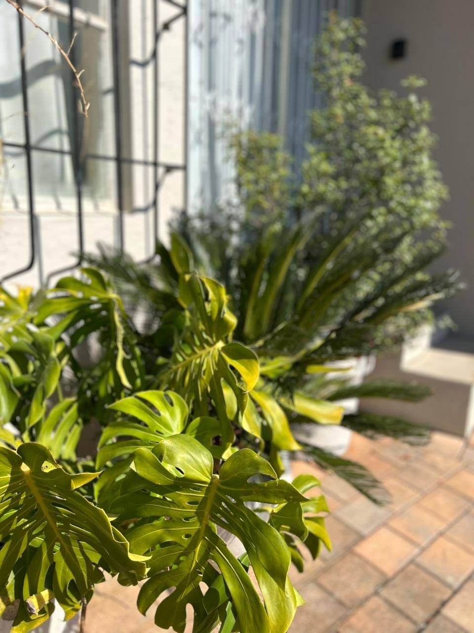 Menlyn Stay image no 6 of 15