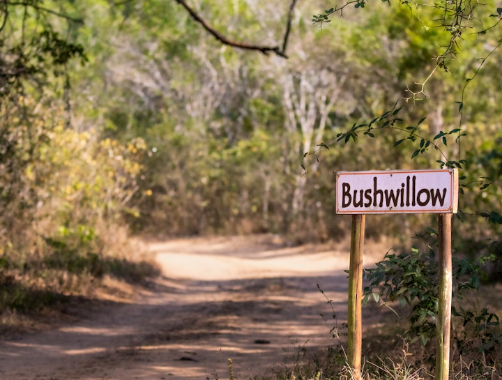 KwaZulu-Natal Accommodation at Bushwillow Collection | Viya