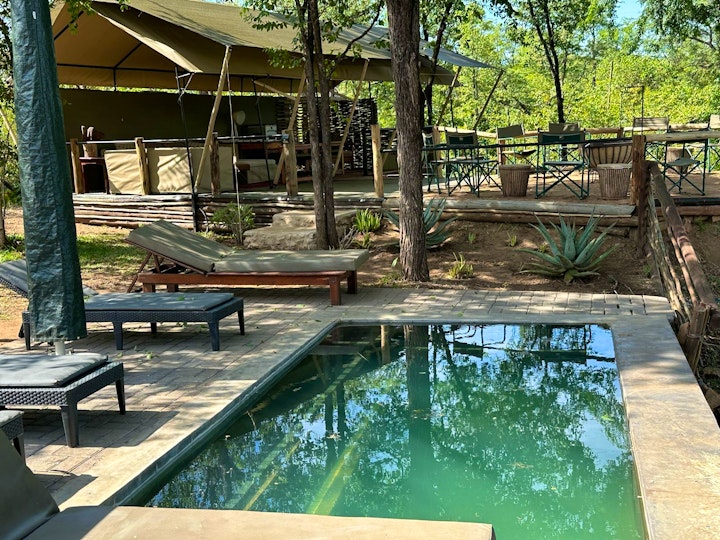 Limpopo Accommodation at Kingly Conservation Camp | Viya