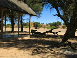 Namibia Accommodation at Kalahari Game Lodge Campsites | Viya