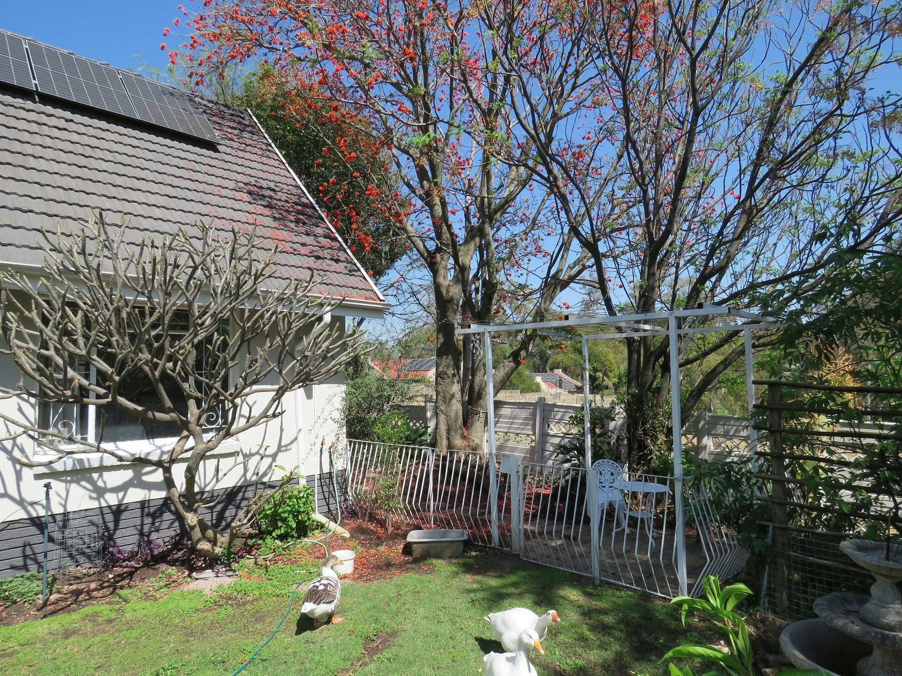 Homestead On The Park image no 7 of 12