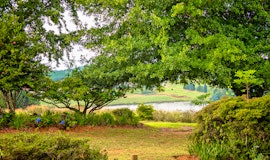 Magoebaskloof Accommodation at  | Viya