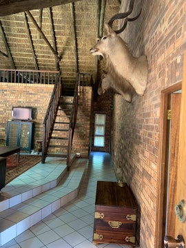 Dinokeng Game Reserve Accommodation at  | Viya