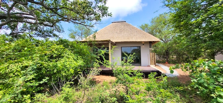 Limpopo Accommodation at Taaibos Bush Lodge | Viya