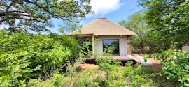 Kruger To Canyons Accommodation at Taaibos Bush Lodge | Viya