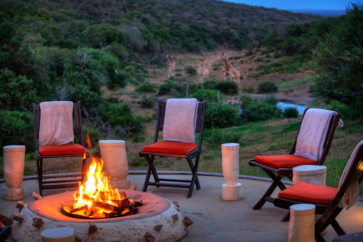 Eastern Cape Accommodation at Amakhala Safari Lodge | Viya