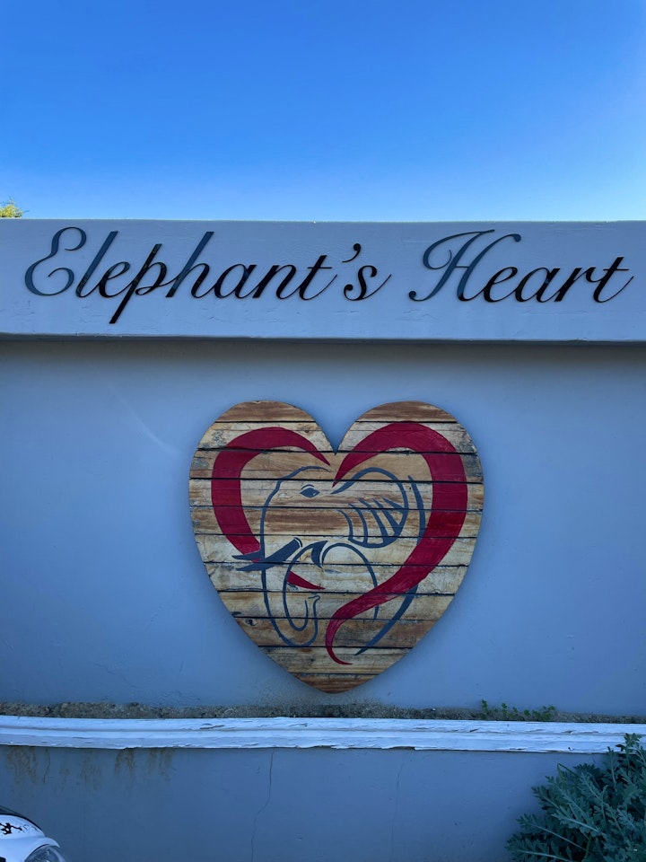 Cape Town Accommodation at Elephant's Heart | Viya