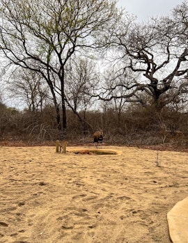 Kruger National Park South Accommodation at The Bungalow Marloth | Viya