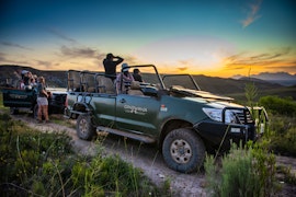 Western Cape Accommodation at Gondwana Game Reserve | Viya