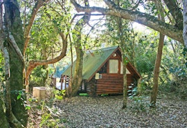 Garden Route Accommodation at  | Viya