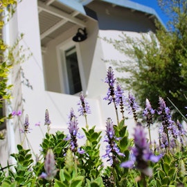 Overberg Accommodation at  | Viya