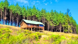 Magoebaskloof Accommodation at  | Viya