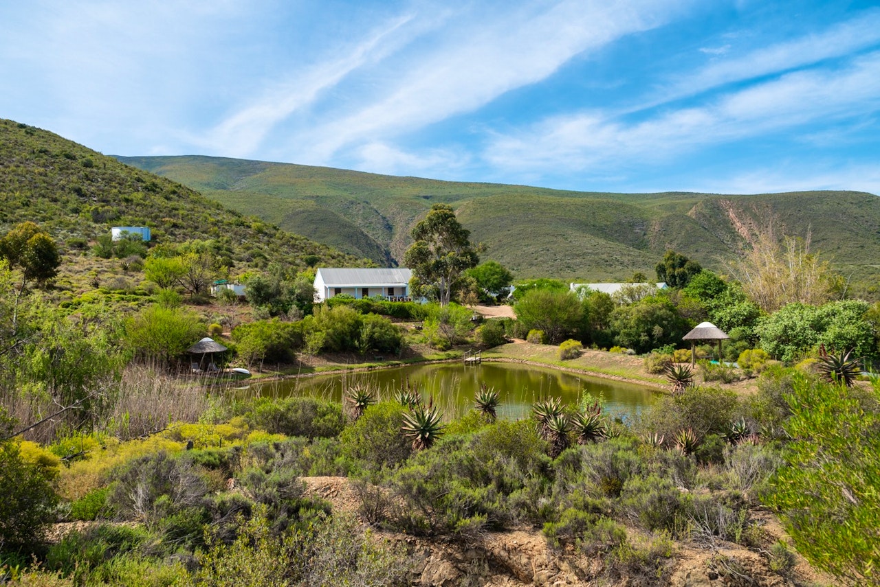 Garden Route Accommodation at  | Viya