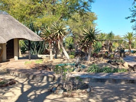 Erongo Accommodation at Roidina Safari Lodge | Viya