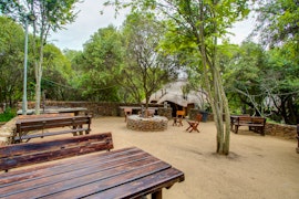 Cradle Of Humankind Accommodation at Warthogs Bush Lodge | Viya