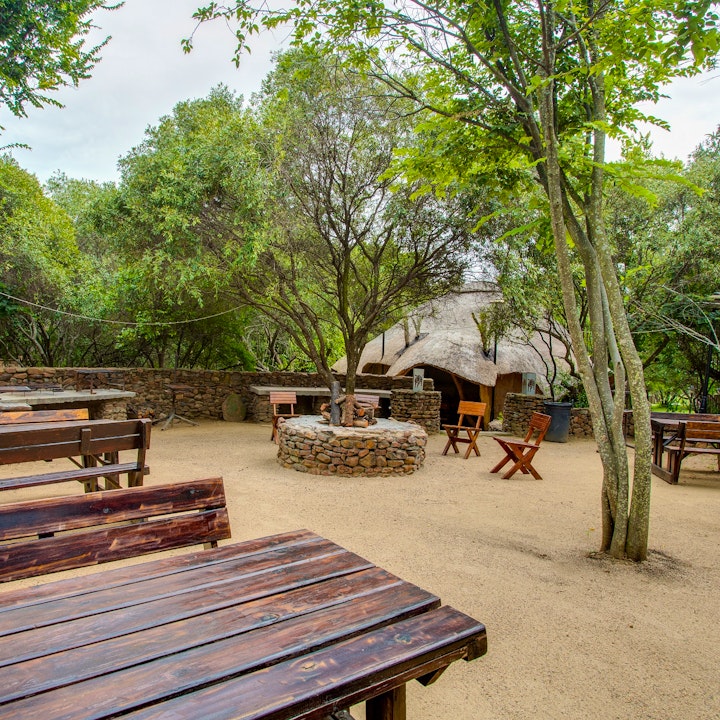 Gauteng Accommodation at Warthogs Bush Lodge | Viya