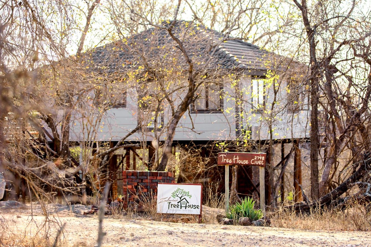 Kruger National Park South Accommodation at  | Viya