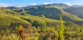 Western Cape Accommodation at Willow Lodge @ Frog Mountain Getaway | Viya