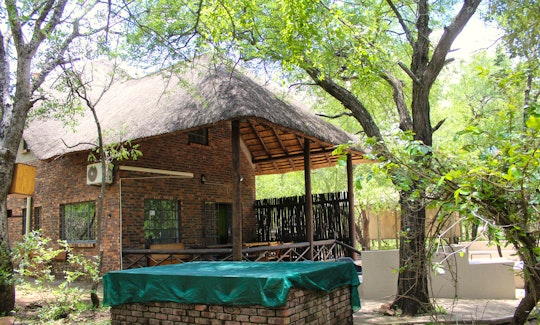 Kruger National Park South Accommodation at  | Viya