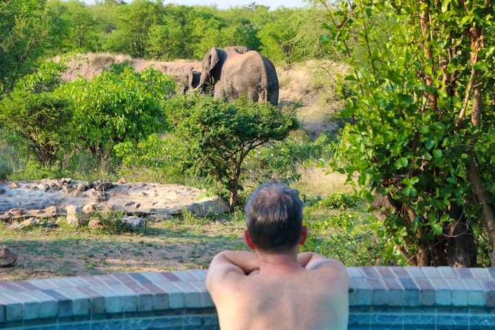 Mpumalanga Accommodation at Umoja Kruger - Wildlife Without Fences | Viya